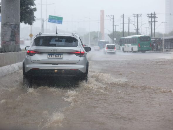 Imagem - Codesal registra mais de 250 ocorrências relacionadas à chuva nesta terça-feira