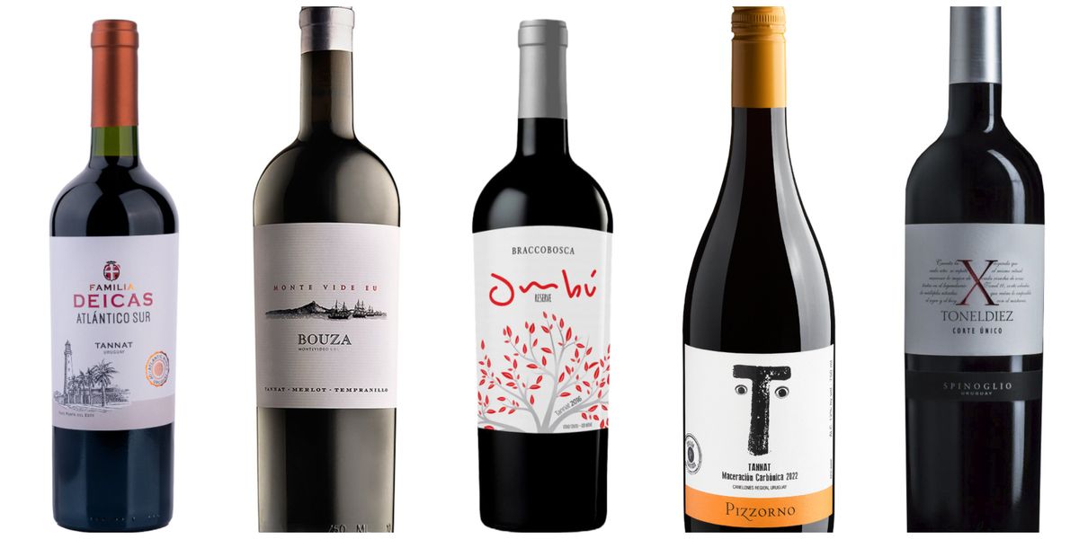 Seleção de vinhos uruguaios