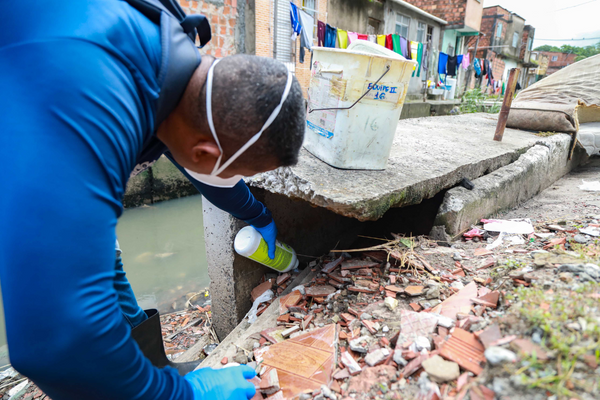 A Prefeitura realizou ações de inspeção e controle de infestação de roedores em cinco distritos sanitários de Salvador