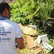 Imagem - Distritos sanitários de Salvador recebem inspeção contra dengue