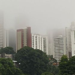 Imagem - Salvador amanhece com chuva e neblina