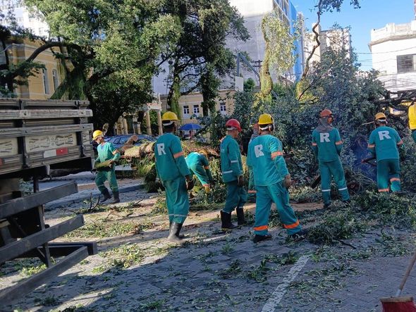 Imagem - Árvore cai em frente ao TCA e atrapalha trânsito no Campo Grande