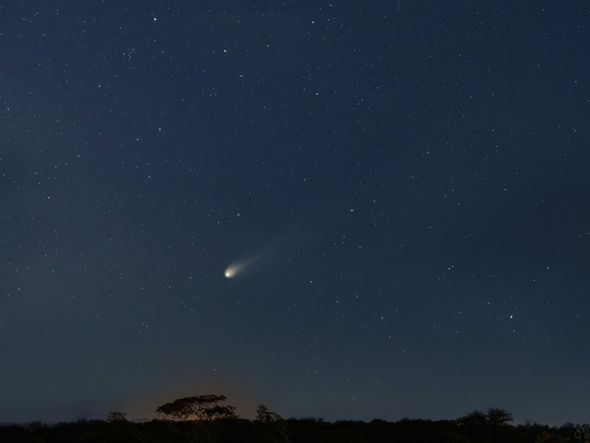 Imagem - Cometa do tipo Halley será visível em cidades do Nordeste; saiba como observá-lo