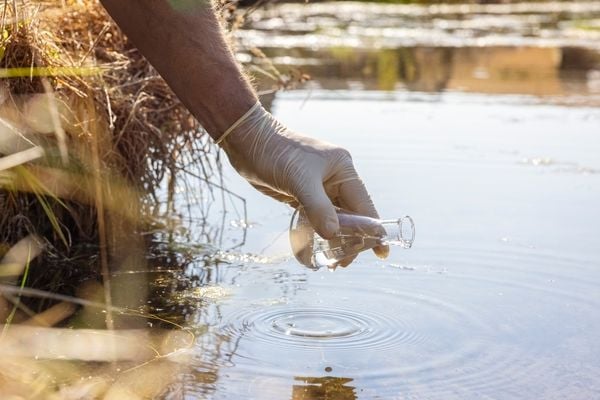 Bactéria da cólera está ativa na natureza