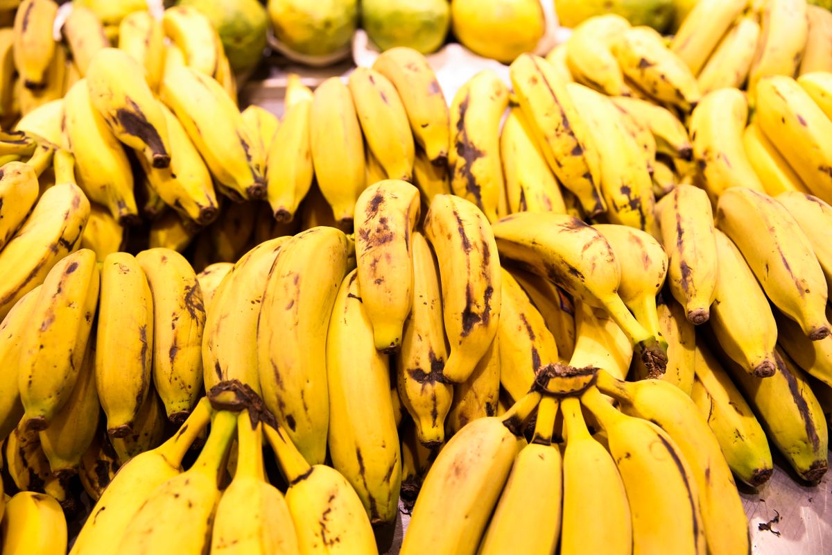 Banana sofreu alta de 49,91%