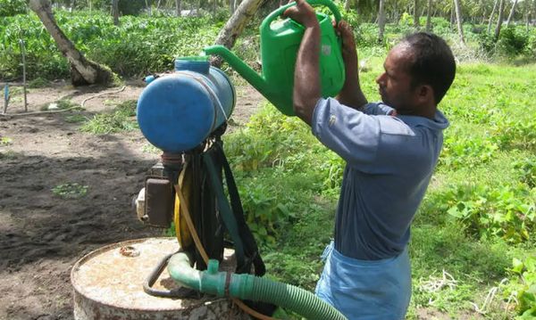 Pesquisas que mostram que os agrotóxicos causam cerca de 200 mil mortes por envenenamento a cada ano em todo o mundo