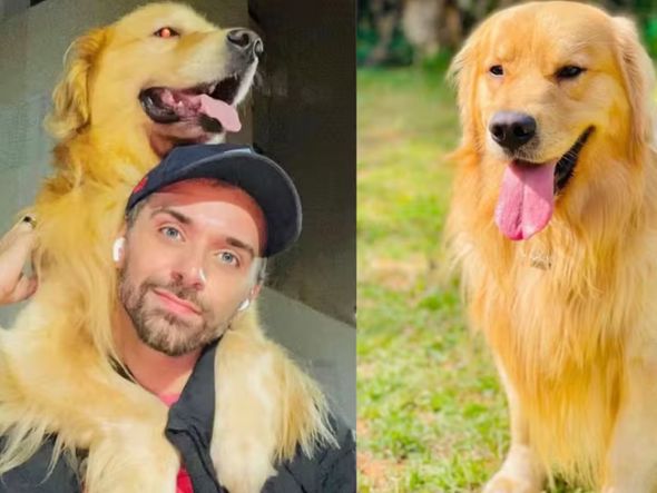 Imagem - Médicos veterinários pedem regulamentação do transporte de pets após morte do cão Joca