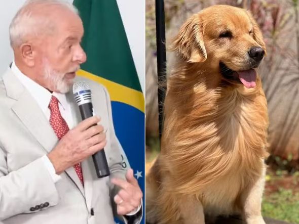 Imagem - Lula usa gravata em homenagem ao cachorro 'Joca' e cobra providências da Anac e da Gol