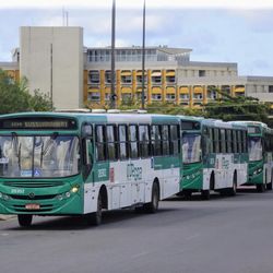 Imagem - Após atraso de 4h, ônibus começam a sair de garagem em Salvador