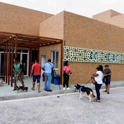 Imagem - Hospital Veterinário completa um mês de inaugurado com mais de dois mil atendimentos
