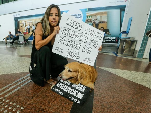 Imagem - Tutores de cães fazem protesto por regulamentação do transporte em aeronaves