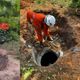 Imagem - Égua que caiu em bueiro é resgatada por bombeiros após mais de 5h de trabalho