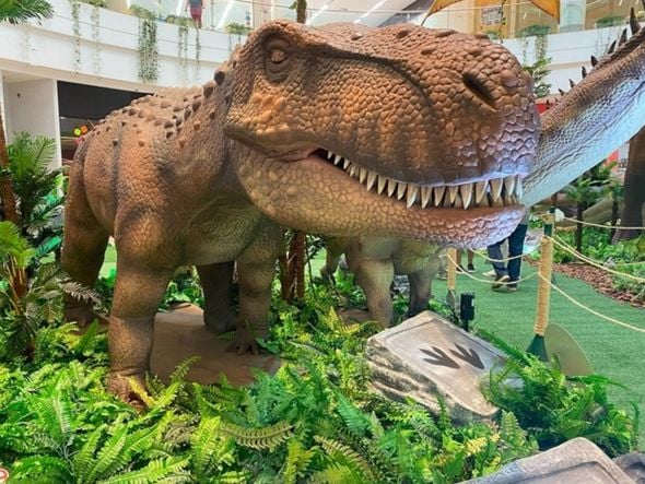 Imagem - Maior exposição de dinossauros da América Latina entra em reta final na capital baiana