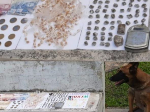 Imagem - PM apreende mais de 480 porções de crack, cocaína e maconha em  Santa Cruz de Cabrália