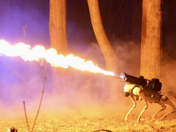 Imagem - Empresa americana viraliza ao lançar cão robô lança-chamas por R$ 48 mil