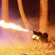 Imagem - Empresa americana viraliza ao lançar cão robô lança-chamas por R$ 48 mil