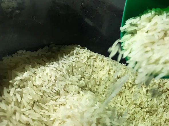 Imagem - Brasil vai importar arroz para evitar especulação de preços