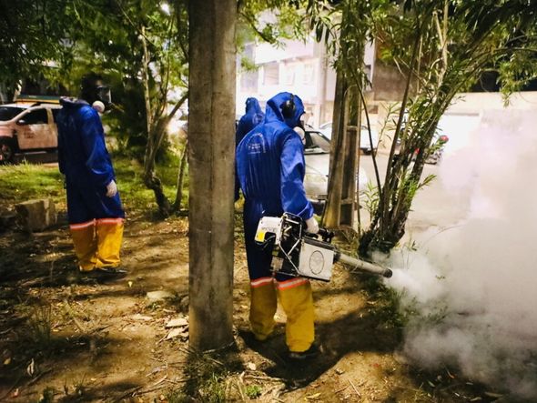 Imagem - Salvador tem redução nos casos de dengue e prefeitura decreta fim de epidemia