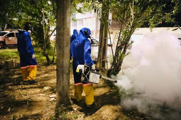 Combate ao Aedes aegypti