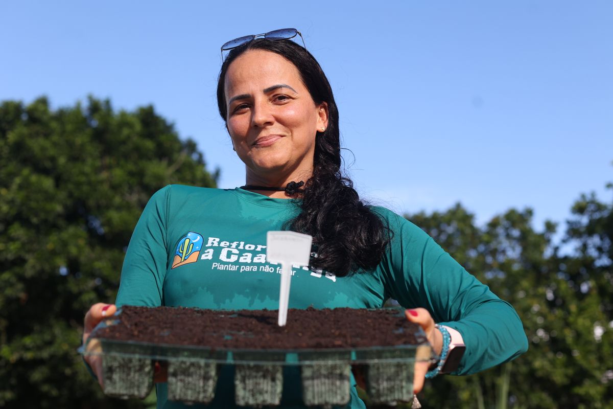 Projeto Reflorestando a Caatinga foi criado por Rafaella Lopes em 2022