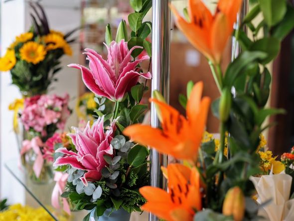 Imagem - Mudanças climáticas podem deixar flores até 80% mais caras para o Dia das Mães