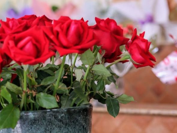 Imagem - Entrega em até três horas: veja como encomendar flores sem sair de casa