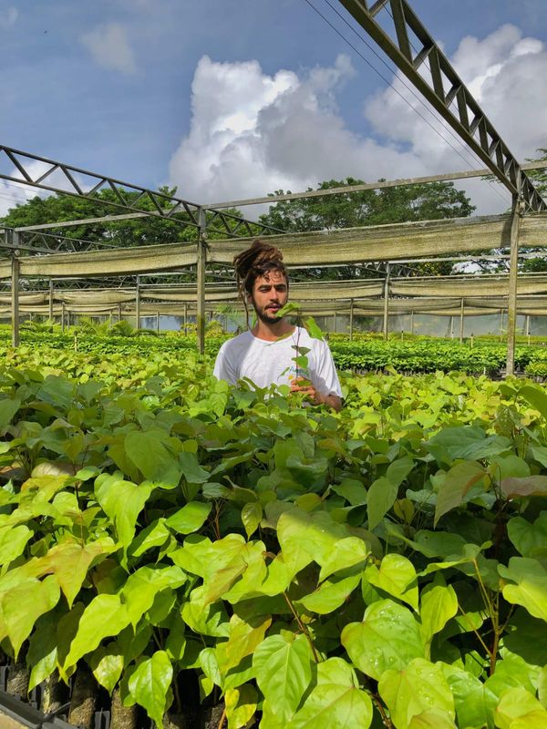 Hudson Freire Laviola Filho é agricultor da fazenda sustetentável Anauá, localizada em Caravelas, no extremo sul do estado