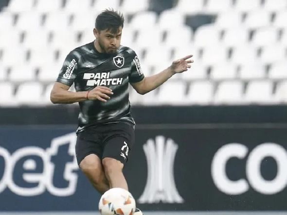 Imagem - Botafogo afasta Romero e Diego Hernández por indisciplina antes de decisão da Libertadores