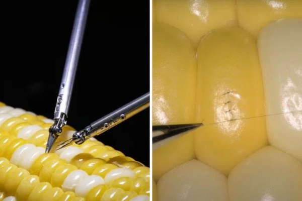 A Sony demostrou a capacidade do seu novo robô cirúrgico costurando um corte em um grão de milho