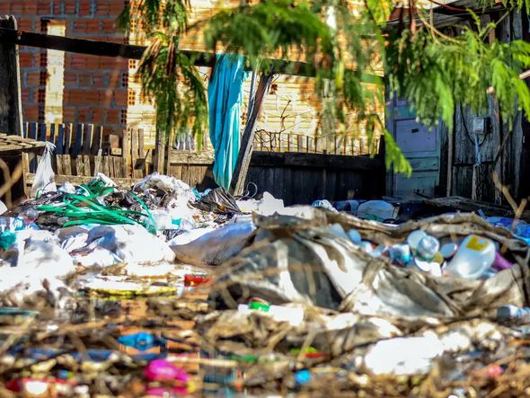 Imagem - Bahia lidera: Brasil tem 1.942 cidades com risco de desastre ambiental