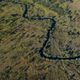 Imagem - Bahia desmata área equivalente a 737 campos de futebol por dia