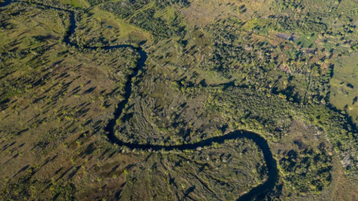 Oeste da Bahia lidera desmatamento no país 