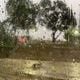 Imagem - Subúrbio é região de Salvador mais atingida pelas chuvas nesta quarta (5); veja previsão