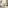 Imagem - Adeus, pano de chão: solução para limpar a casa é mais rápida, menos cansativa e não precisa sujar as mãos