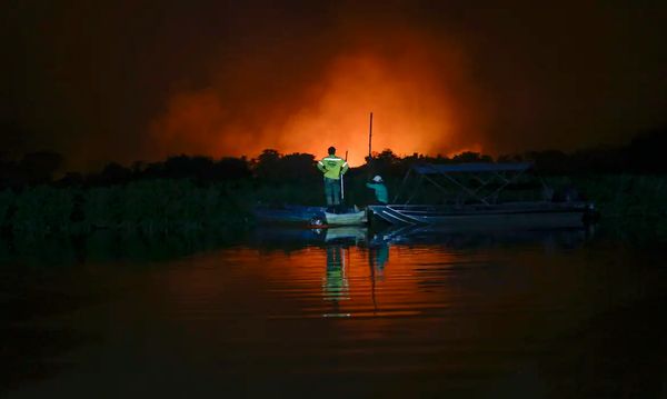 Incêndio no Pantanal