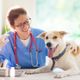 Imagem - Veja quando vacinar cachorros e gatos