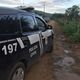 Imagem - Dupla suspeita de furto de gado é presa em Porto Seguro