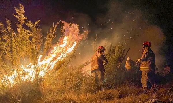  Incêndio do Parque Nacional de Itatiaia