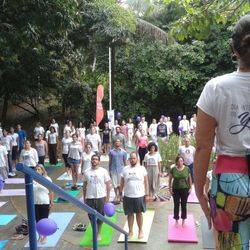 Imagem - Dia Internacional do Yoga será celebrado gratuitamente em evento de Salvador