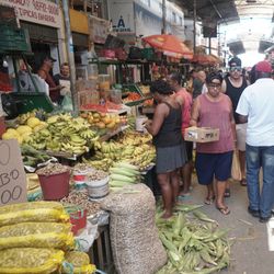 Imagem - Soteropolitanos deixam compras da ceia junina para última hora; amendoim está 66% mais caro