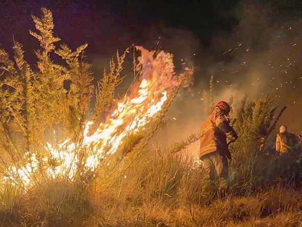 Imagem - Ministério Público investiga incêndio no Parque Nacional do Itatiaia