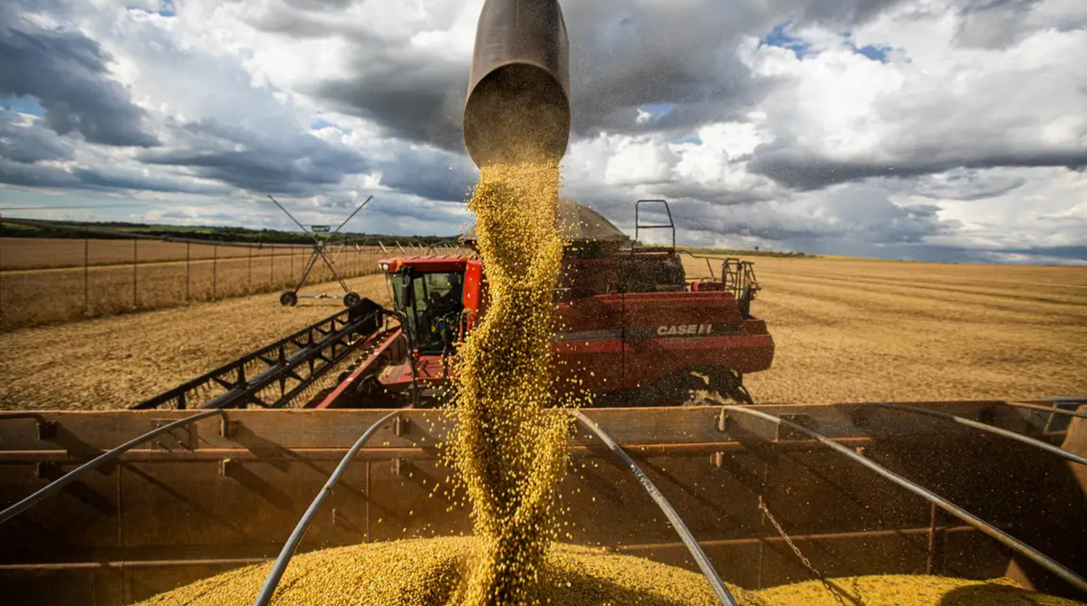 Produção agroindustrial