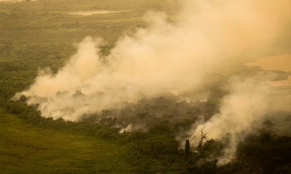 Incêndio florestal que atige o Pantanal