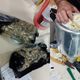 Imagem - Polícia apreende cinco quilos de drogas em encomendas dos Correios em Simões Filho
