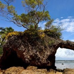 Imagem - Cinco locais repletos de natureza para conhecer a história da independência da Bahia