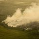 Imagem - FAB faz quatro voos hoje para o Pantanal para combate às queimadas