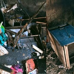 Imagem - Criança de 5 anos provoca incêndio em casa após pais devolverem cachorros resgatados