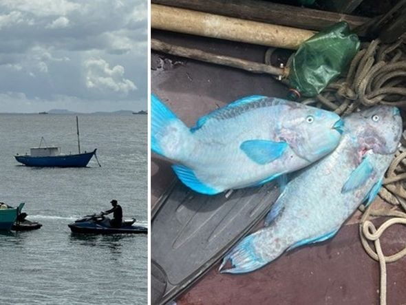 Imagem - Dois homens são detidos por pesca ilegal de peixes em extinção na praia da Barra