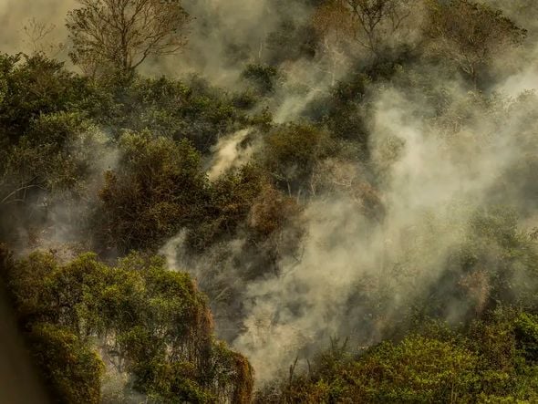 Imagem - Incêndios podem ter degradado 9% do Pantanal nos últimos cinco anos