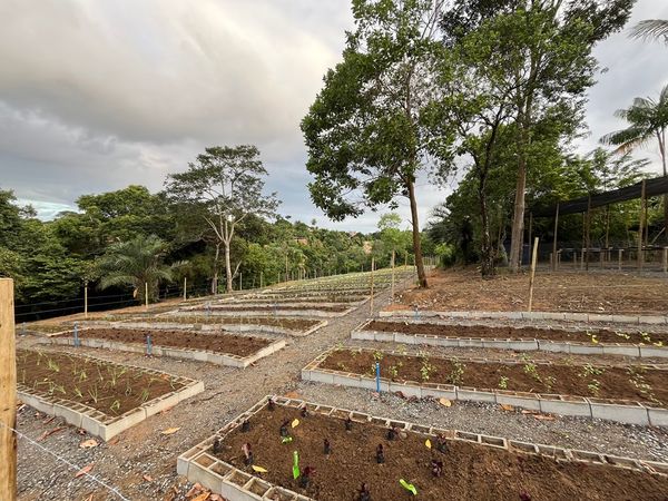 A primeira Horta Comercial Agroecológica de Salvador foi instalada no bairro de Cassange